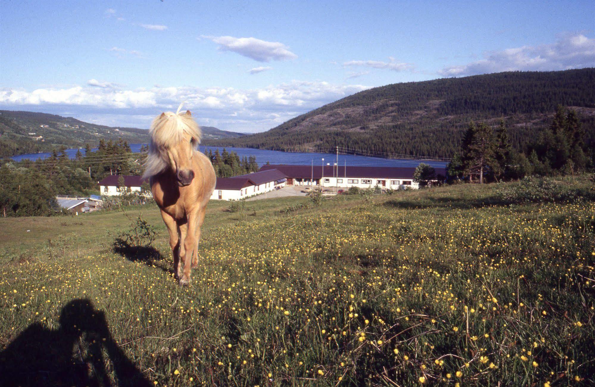 Valdres Hoyfjellshotell Steinsetbygdi Exteriér fotografie